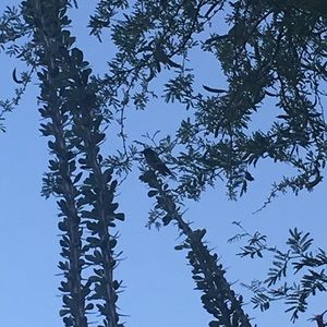 Meet your Posher, Maureen